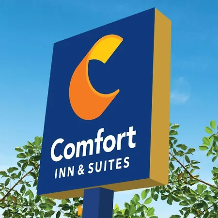Comfort Inn & Suites Rome South